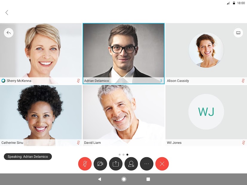 Cisco Webex Meetings Screenshot