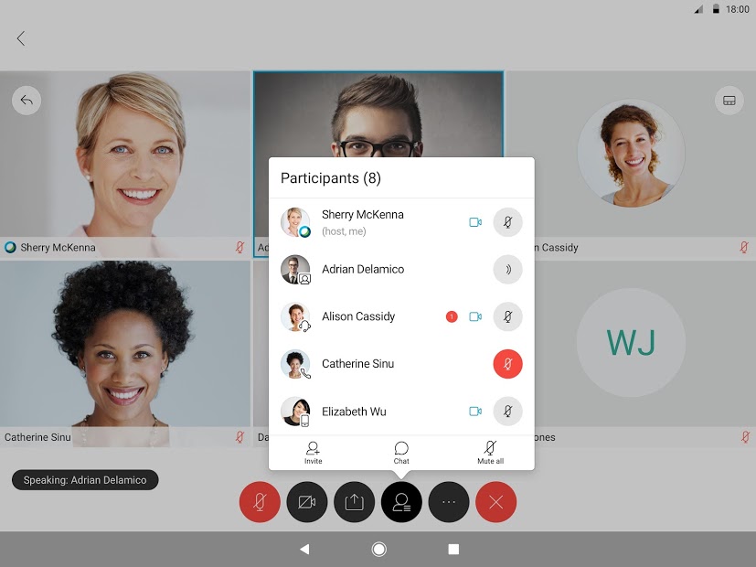 Cisco Webex Meetings Screenshot